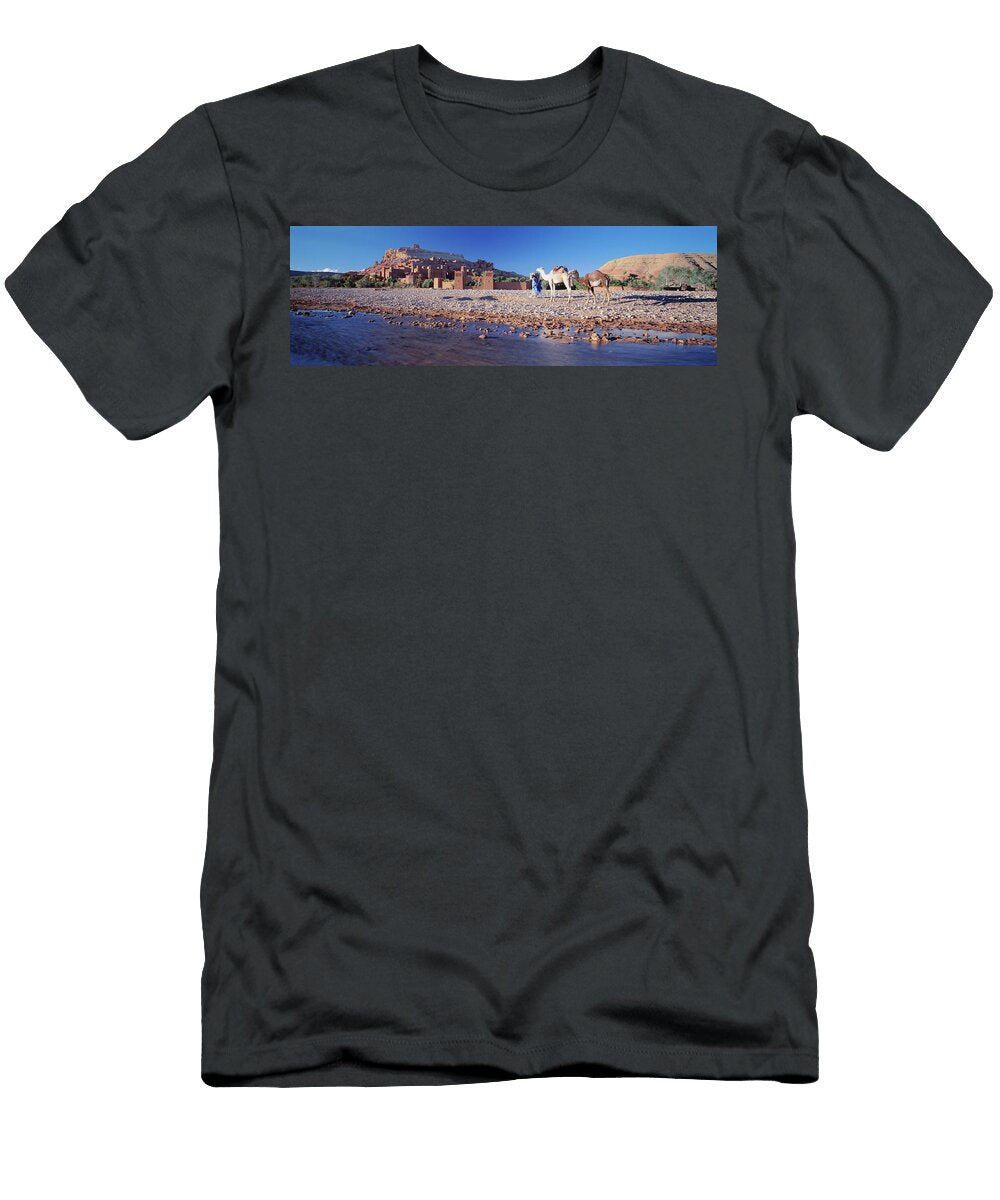 Ait Benhaddou Morocco Animal Images T-Shirt