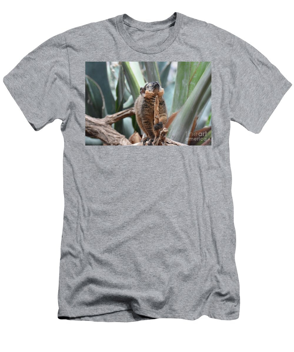 Cute Brown Collared Lemur with a Curious Expression Dejavu Designs T-Shirt
