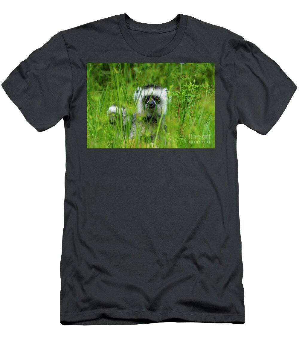 Diademed Sifaka Lemur Brian Kamprath T-Shirt