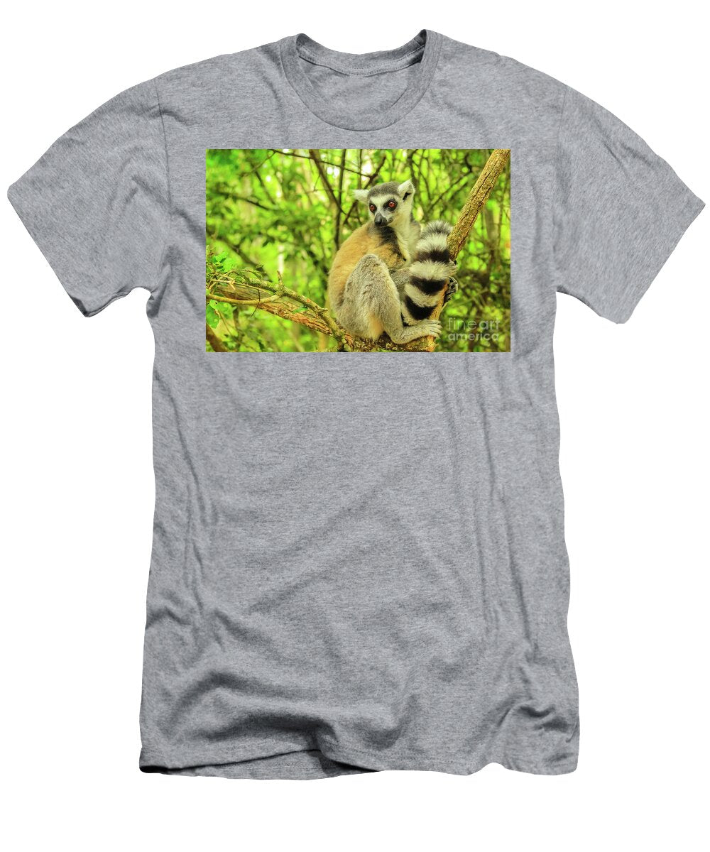 Lemur of Madagascar Forest Background Benny Marty T-Shirt