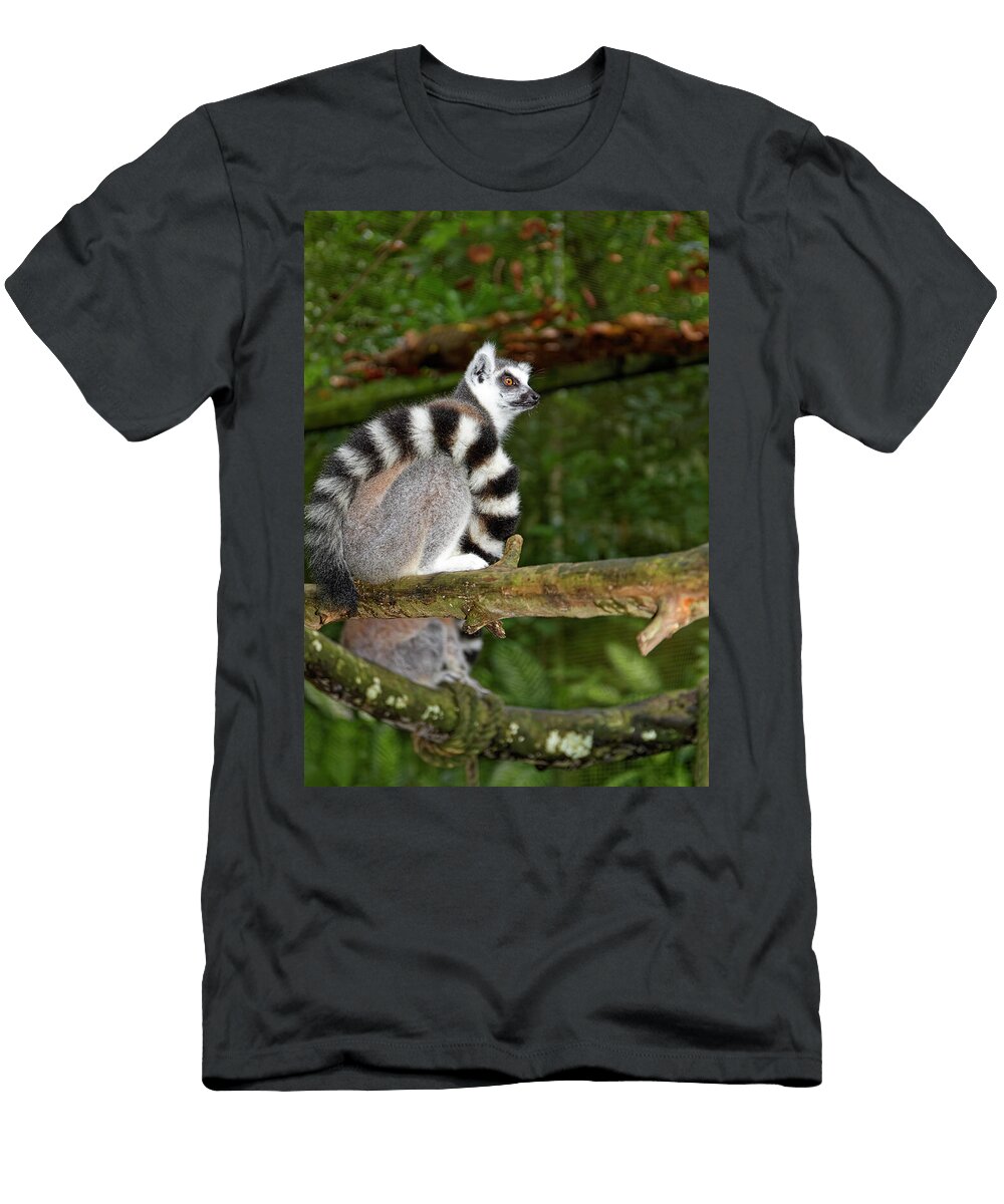 Lemur on Branch Sally Weigand T-Shirt
