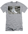 Lemur the Cutie Ed Taylor T-Shirt