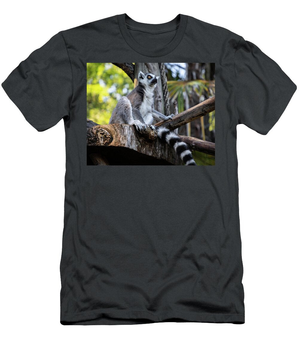 Portrait of a Lemur Giovanni Laudicina T-Shirt