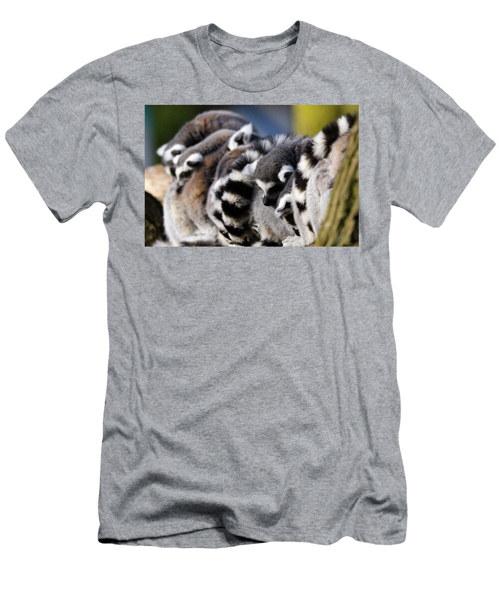 Sleepy Ring Taled Lemur Dylan Nieuwland T-Shirt